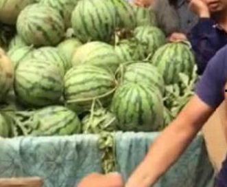 贵阳娱乐吃瓜事件真相是真的吗,真相揭秘,还原事件始末 第3张 贵阳娱乐吃瓜事件真相是真的吗,真相揭秘,还原事件始末 第3张